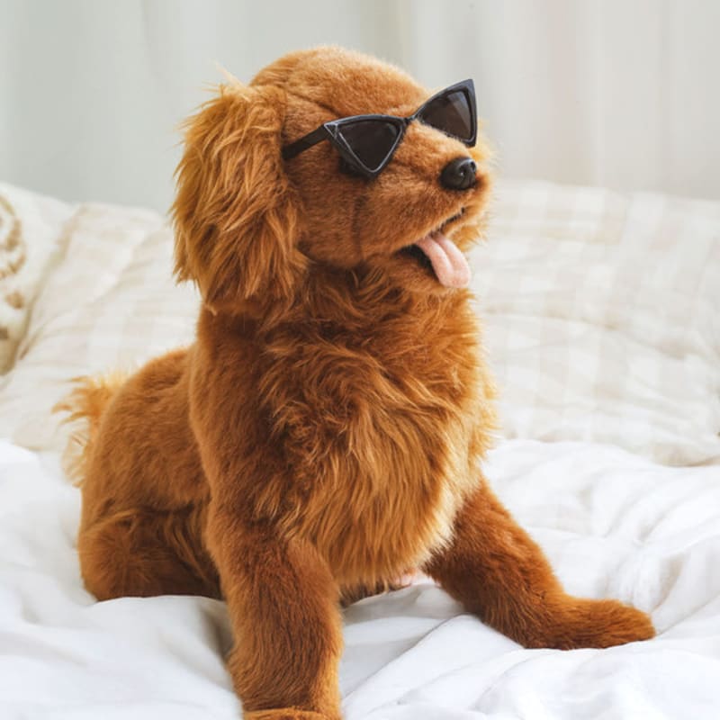 [Pet] Triangular Sunglasses