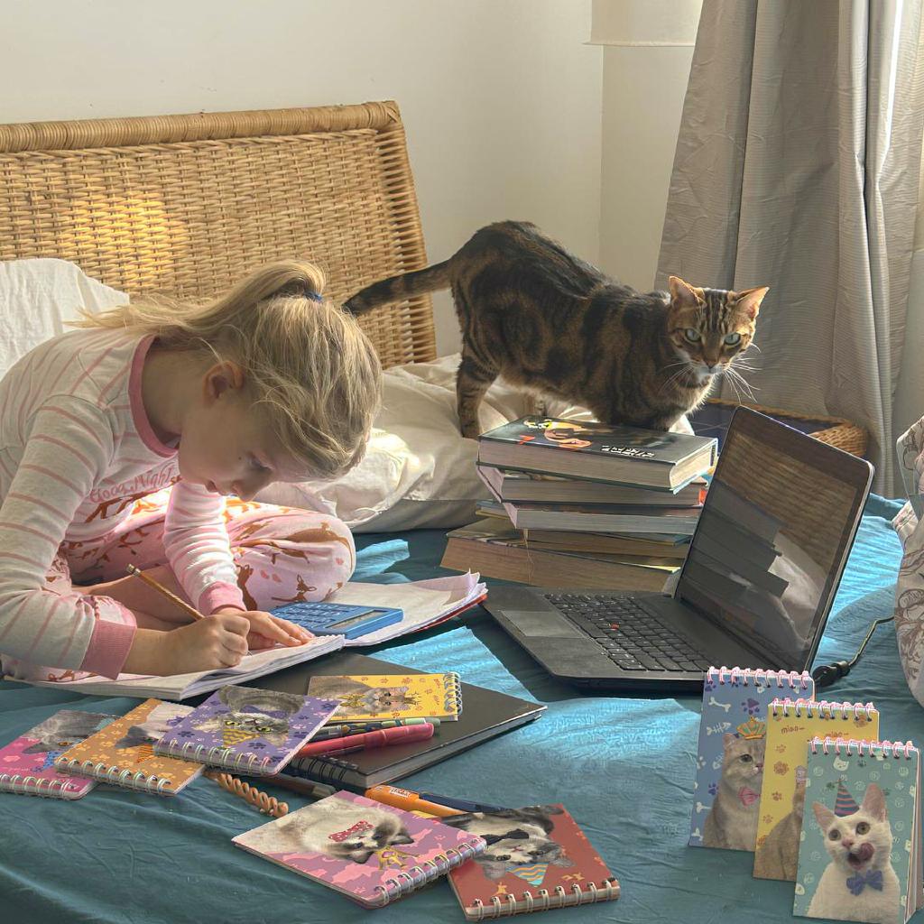 8pcs Cute Animal Spiral Notepad Kawaii Cat Dog Party Hat Memo Pad Tear Off Portable Notebook For School Student