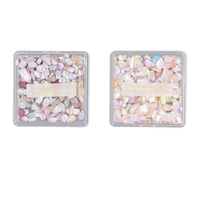 2 Box Seashell Slices Nail Art Supplies Irregular Colorful Aurora Glitter Nail Art Sequins