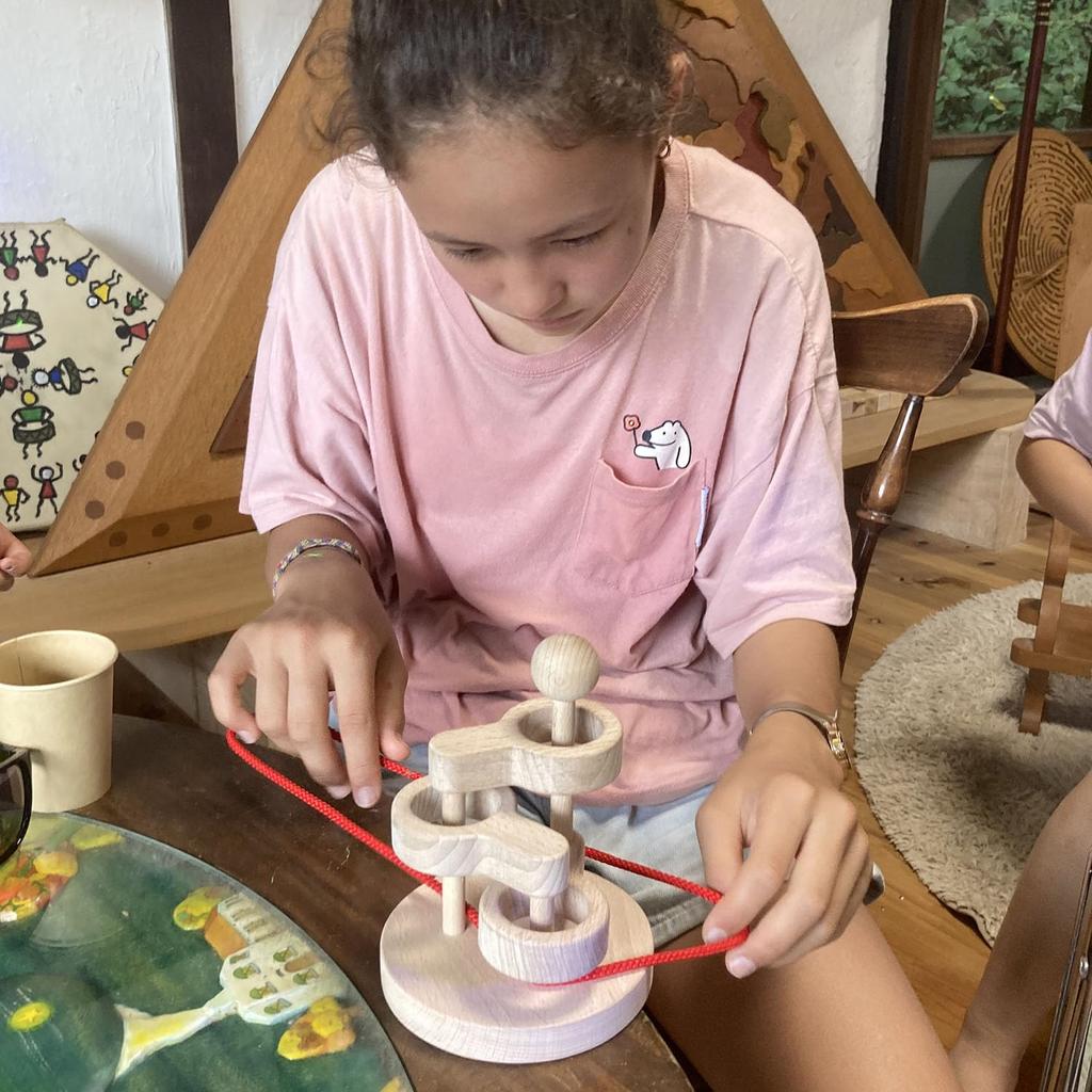 3D Wooden Brain Training Puzzle Brain Activation Japan Good Toy Award Educational String Brain Ages and Made In Japan (3 Tiers) - Toy, Winner, Toy,