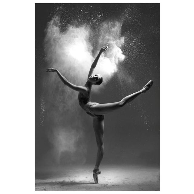 Black and White Ballet Dancer Canvas Painting Elegant Ballerina Pose Photo Print Poster Wall Art Picture for Interior Room Decor