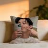 Dylan Wang Chinese Actor Cushion Cover Cozy Velvet Throw PillowSoft Warm Cushion For Sofa  Bed