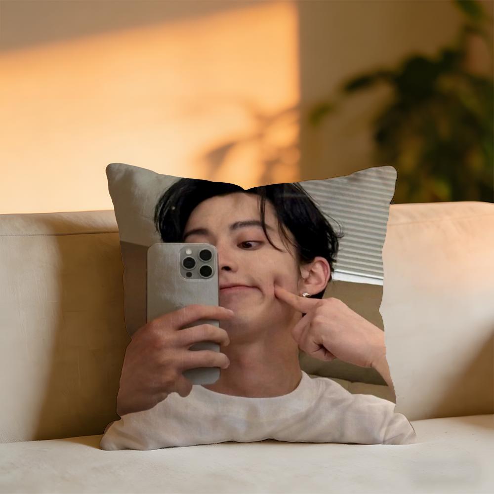 Dylan Wang Chinese Actor Cushion Cover Cozy Velvet Throw PillowSoft Warm Cushion For Sofa Bed
