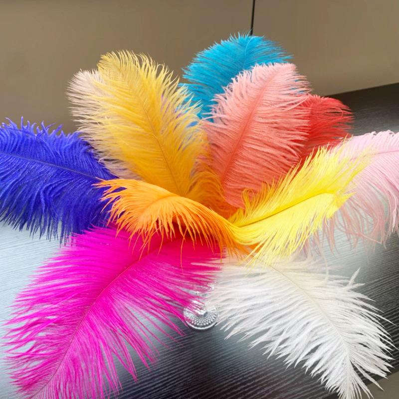 Ostrich Hair Colored Feathers 20-25Cm Wedding Table Lamp Decoration Stage Diy Material Clothing Accessories