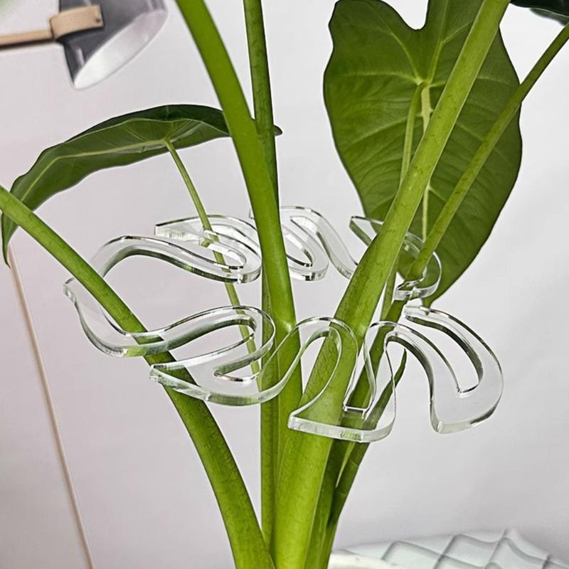 Clear Plastic Plant Stem Stabilizers Garden Stakes for Supporting Fragile Flowers Herbs Small Trees
