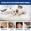 Wound Liquid Band Aid  Breathable  Pet Wound Fluid For Skin Care Gel