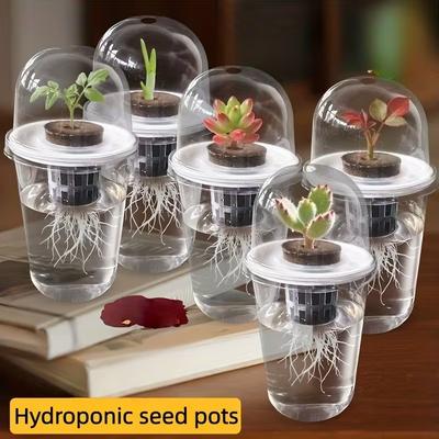 1/3Pcs Visible Clear Plants Germination Cup Transparent Plastic Nursery Growing Box Indoor Garden Greenhouse Seed Starter Tray