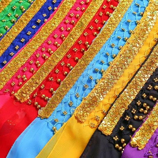 Indian Belly Dance Coin Waist Chain for Performance and Practice