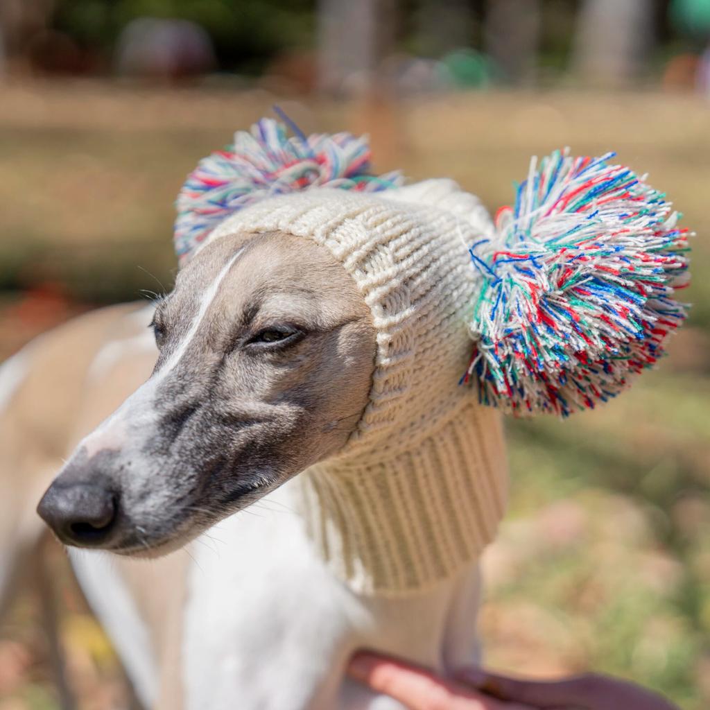 Italian Greyhound Whippet Hat with Fur Ball Pet Hat In Winter Elastic Wool Puppy Big Dog Hat