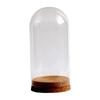DIY Glass Dome Cloche Holder for Microlandscape and Home Display