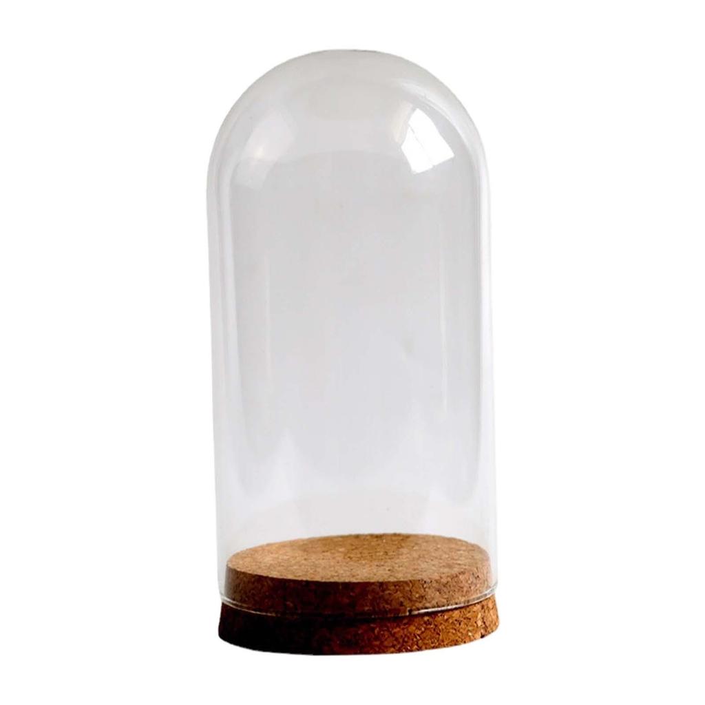 DIY Glass Dome Cloche Holder for Microlandscape and Home Display