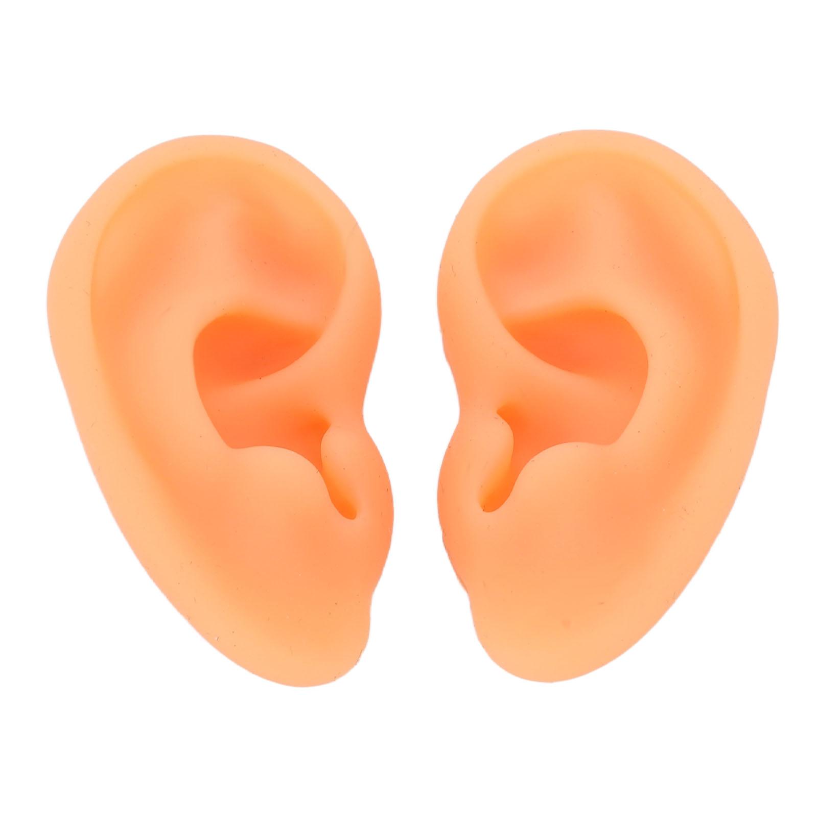 

2шт силиконовая модель уха мягкая силиконовая высокоимитационная широко используемая акупунктурная модель уха для