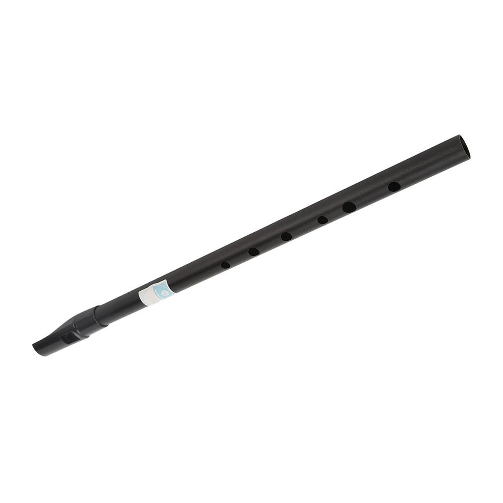 D Tin Irish Penny Whistle Accurate Tone Clear Sound Aluminum Alloy Whistle Flute with Storage Box