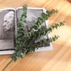 5Pcs/Set Green Artificial Eucalyptus Leaf Plant Vine Garden Balcony Home Decor