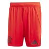 Unisex Adult 2024/2025 FC Bayern Munich Football Shorts