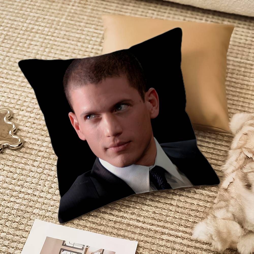 

WWentworth MMiller Pillow Case Antidustmite Pillowcase Invisible zipper silky plush Sofa 30X30cm