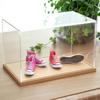 Jeantopia Acrylic Case for Figures and Miniatures, Protective Storage and Display with Wooden Base (Large)