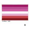 Duhová vlajka do ruky Lesba Gay Bisexuál Transgender LGBT Pride Vlajka 14x21cm Měsíc hrdosti