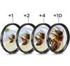Makro-Nahfilter-Set +1 +2 +4 +10 Für Canon Nikon Sony Kameraobjektiv 37mm-77mm Fotografie