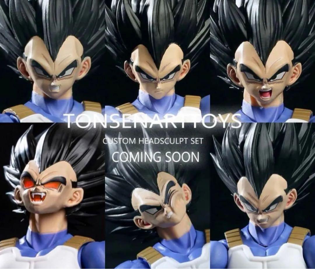 

[USED] TONSEN ARTTOYS S.H figuarts Vegeta custom parts