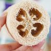 PINYU Natural Luffa Dish Brush with Handle