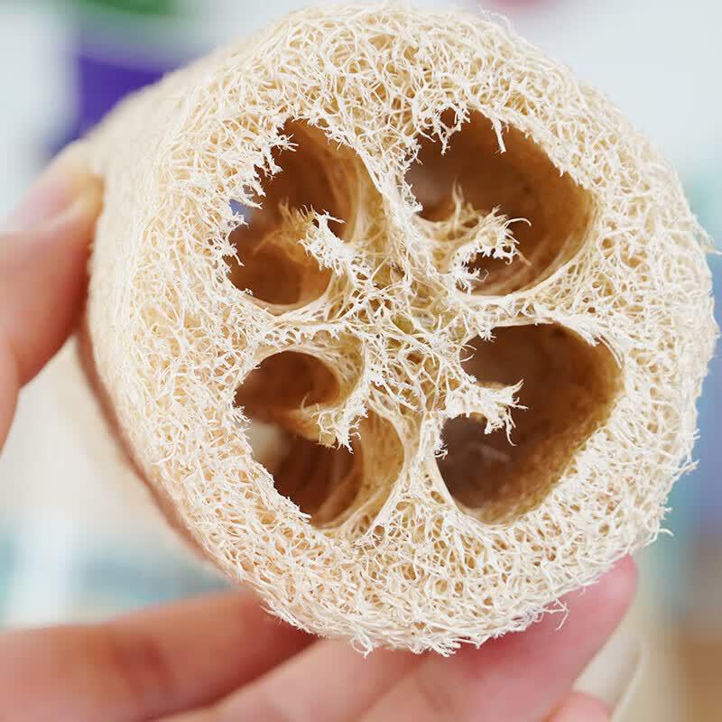 PINYU Natural Luffa Dish Brush with Handle