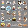 50pcs Otter Graffiti Cartoon Animal Creative DIY Stickers for Kids - Ideal for Phones & Suitcases