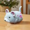 Creative Cute Electric Hamster Toy Funny Wear-resistant Cat Teasing Toys Bite-resistant Simulation Hamster Interactive