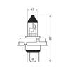 Ampoule Halogène H5 R2 Visio 60/55W 12v