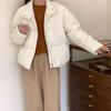 Jachetă de puf Jachetă de iarnă pentru damă Jachetă de puf de rață albă Jachetă scurtă de pâine pentru femei