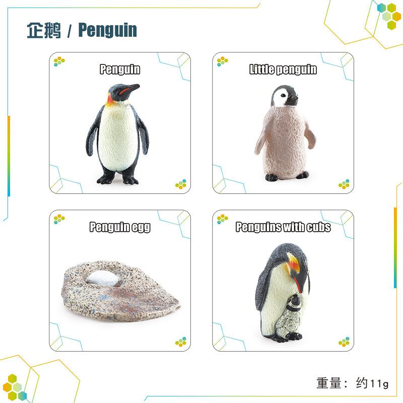 Children'S Science And Education Cognition 16 Animal, Plant And Insect Life Cycle Cards Early Childhood Education Card Toys