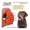 [LOVE PETS by BESTEVER] Love PETS by BESTEVER Pet Toy Tough Toy Carrot XL Carrot XL 47232