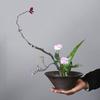 Retro Kiln Change Hydroponic Flower Pot Ceramic Modeling Pot Non-Porous Copper Coin Grass Green Dill Narcissus Pot Flower Arrangement Device
