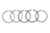 Genuine Yamaha Piston Ring Set for SA26J 4-Strobino (990637)