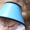 Pet Circle Solid Color Anti-licking Plastic Recovery Wound Protective Collar for Cat