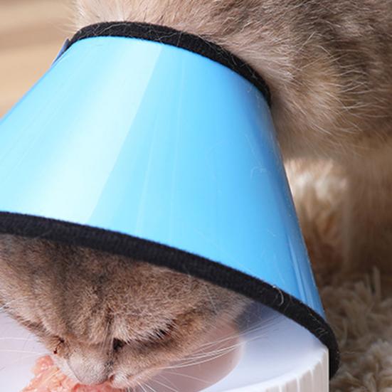 Pet Circle Solid Color Anti-licking Plastic Recovery Wound Protective Collar for Cat