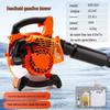 Longlida EBV260 High-Power Gasoline Blower CN plug (adapter included)