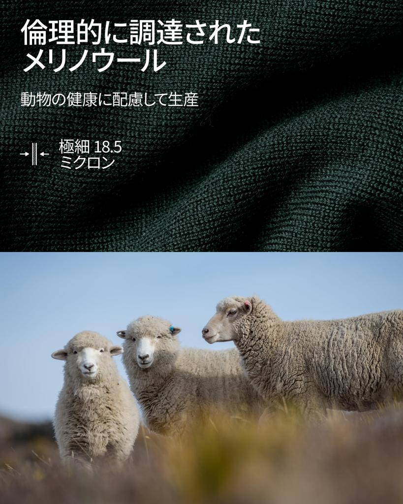 DANISH ENDURANCE Warm Neck Merino Wool Fleece Cold and Perfect for and Outdoor Dark One Size Fits All Warmer, Snood, Multifunctional, Windproof,