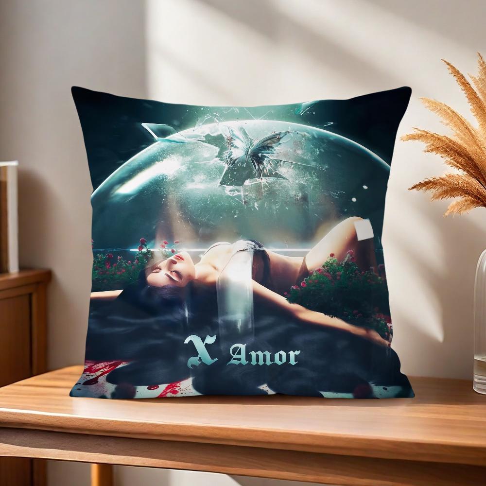 Cushion Singer Cover Comfortable Kimberly Soft Pillow Case For Sofa Living Room Home Office Decor Loaiza And Protective Covers