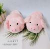 Fashion 2024 Ins Hot Cartoon Pig Cotton Shoes Girls Pink Slip On Fluffy Slipper Woman Creative Piggy Slides Loafers Shoes