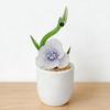 Yousheng Creative Glass Cactus Ornament Mini Desktop Plant Decor for Office Home Handcrafted Decorative Flower Gifts for Plant Lovers & Desk Accessory