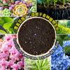 Organic Universal Soil for Flowers, Vegetables, Succulents & Bonsai; Nutrient-Rich Planting & Fertilized Flower Soil