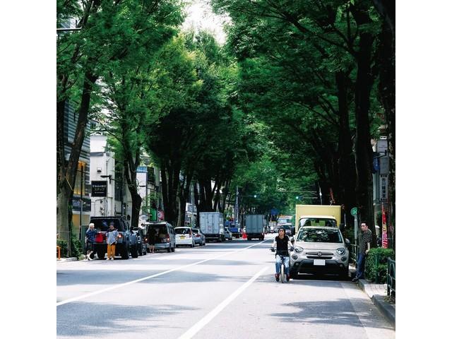 STRAIGHTENER The Ordinary Road [CD+Blu-ray] First Edition Type B TYCT-69317 NEW