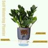 Transparent Self-Watering A7 Flower Pot with Cotton Rope