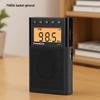 Panda 6107 Mini Tragbares Mehrband-Digitalradio