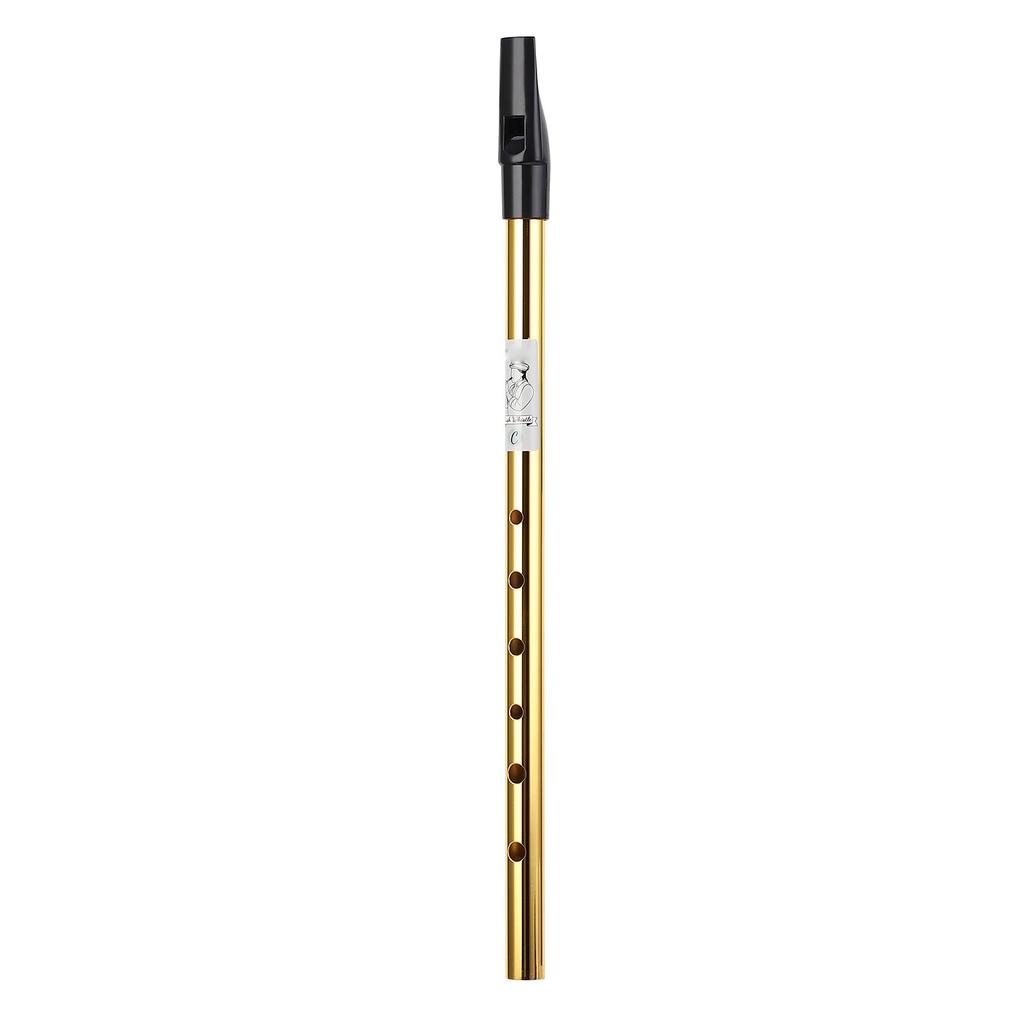 6 Holes Irish Tin Whistle Clear Sound Wind Musical Accurate Tuning Whistle Flute for Beginners C Tune