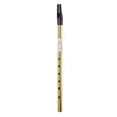 6 Holes Irish Tin Whistle Clear Sound Wind Musical Accurate Tuning Whistle Flute for Beginners C Tune