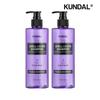 All Day Smell Cover Youth Shampoo Plum & Grapefruit 400ml X2