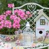 CoCud Mini Resin Flowers, 0.94 Inch Diameter, Miniature Lotus Flowers for Dollhouses, Colorful Color Scheme - (Uses: Fairy Garden, Dollhouse, Party
