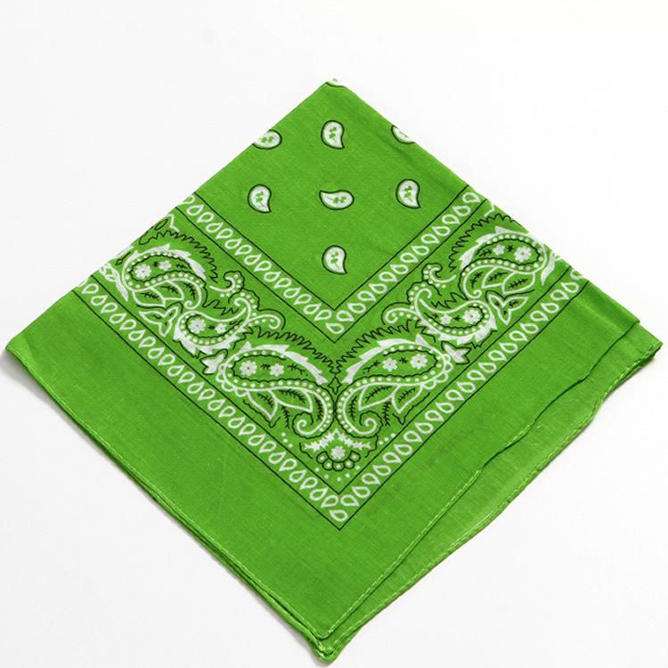 

Amazon Хлопковый платок с принтом, квадратный платок с узором кешью , амеба , цветок , квадратный платок, мужской и женский хип-хоп бандана, декоративный литературный шелковый платок 55*55 зелёный